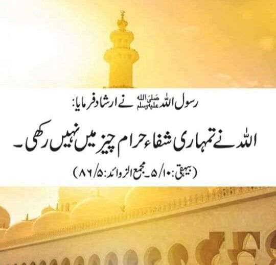 20 Inspirational Islamic Quotes In Urdu Folder
