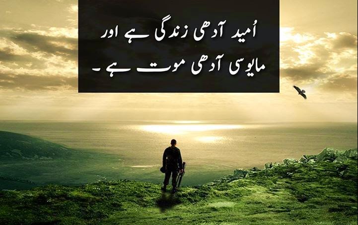 20 Inspirational Quotes On Life In Urdu Folder