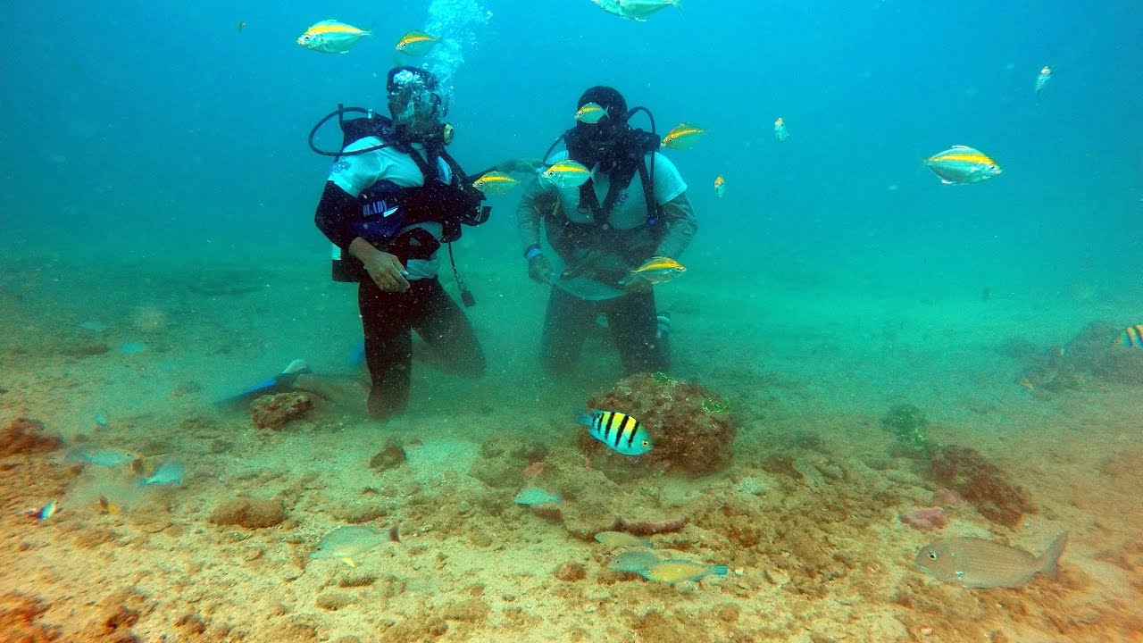 Аравийское море под водой